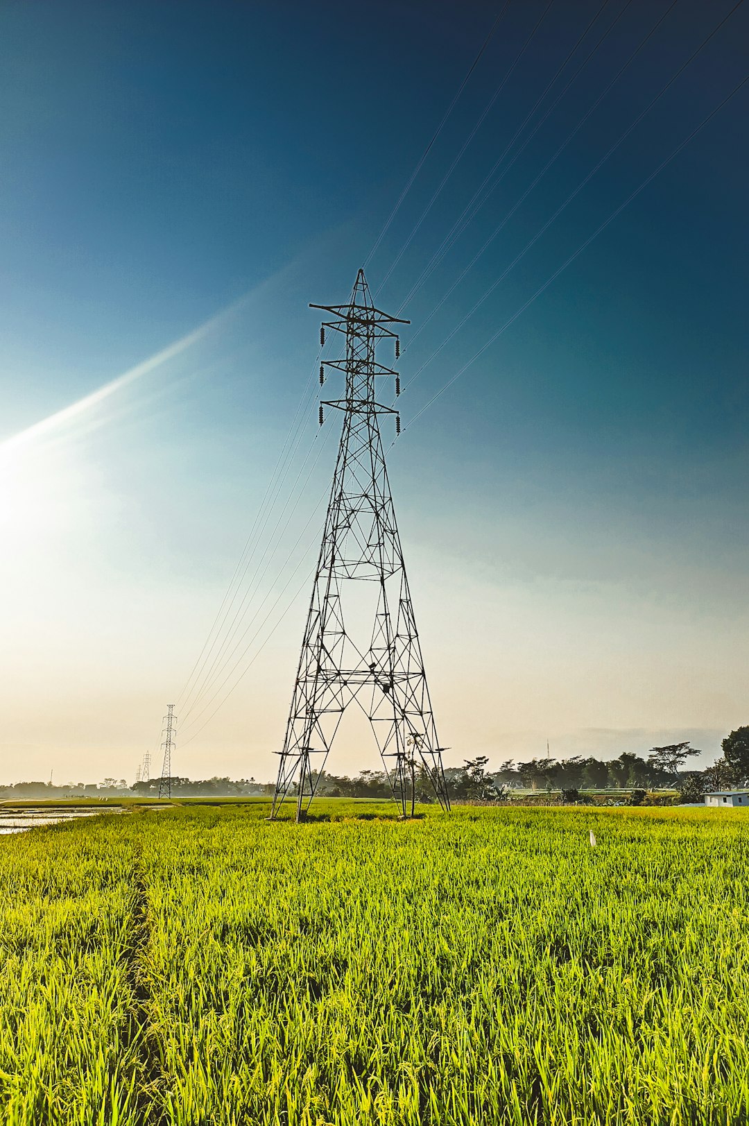 a-large-field-of-green-grass-with-a-power-line-in-the-background-pkbxguedyr0